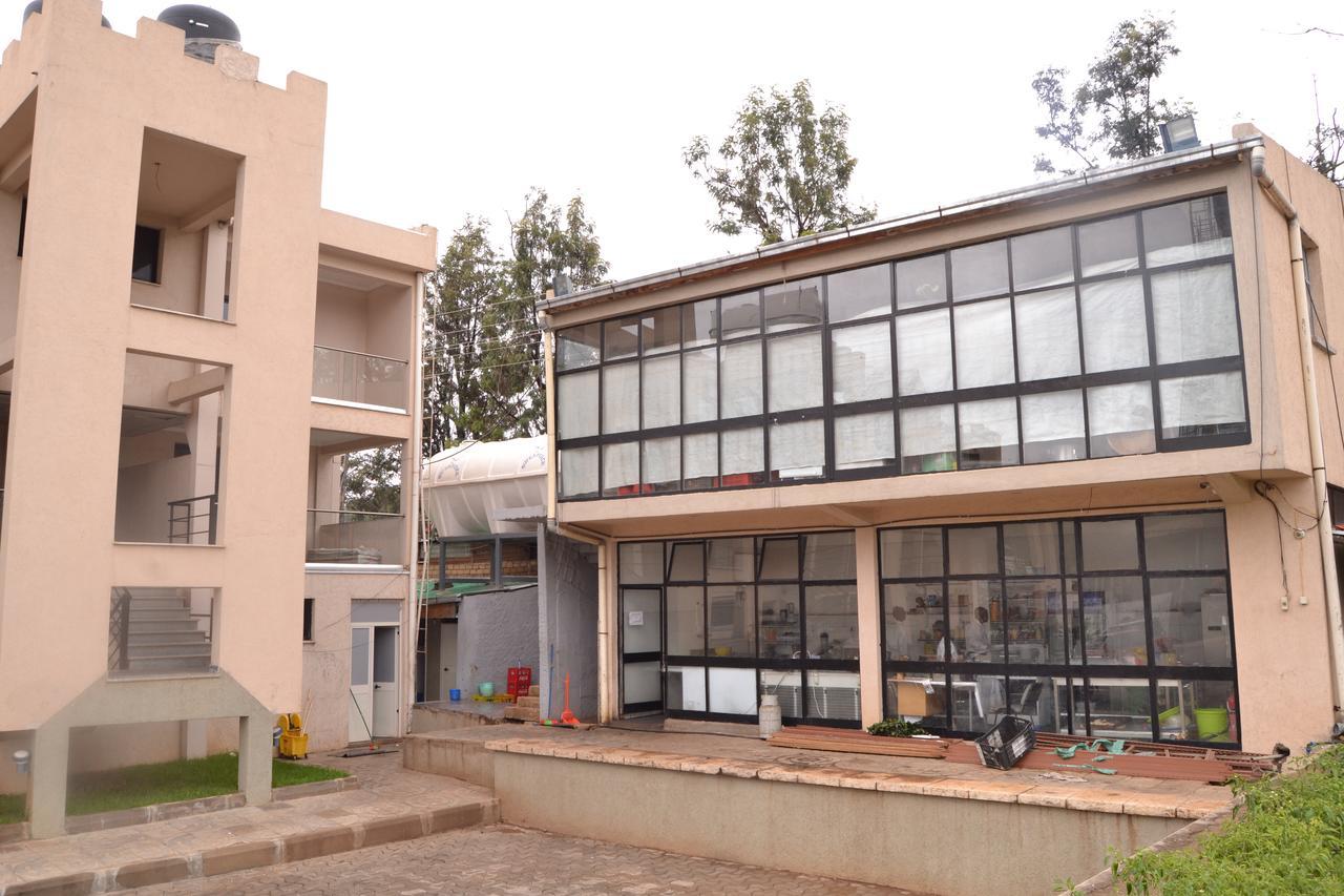 Grand Gato Hotel And Tours Harar Экстерьер фото